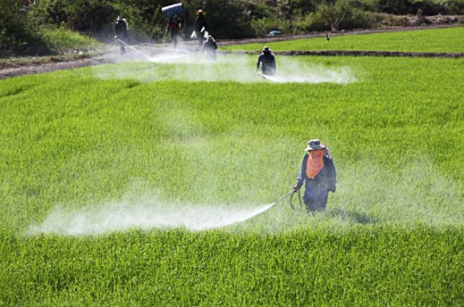 crop-protection-chemicals